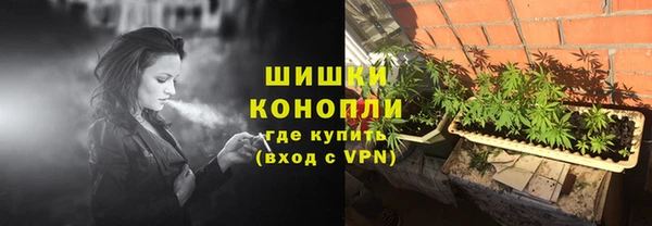 шишки Абаза